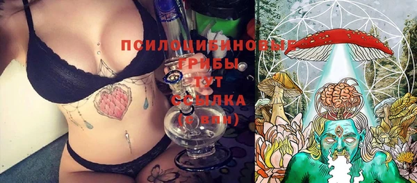 прущая мука Пенза