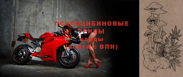 индика Барнаул