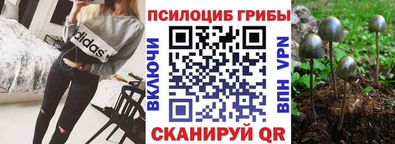 Галлюциногенные грибы MAGIC MUSHROOMS  Купить закладки  Родники 